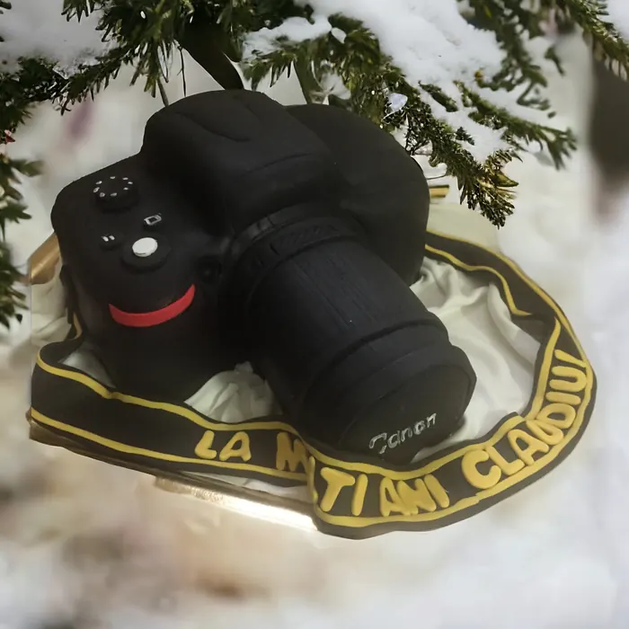 Tort de aniversare realizat de Cofetăria Sicopan Deva